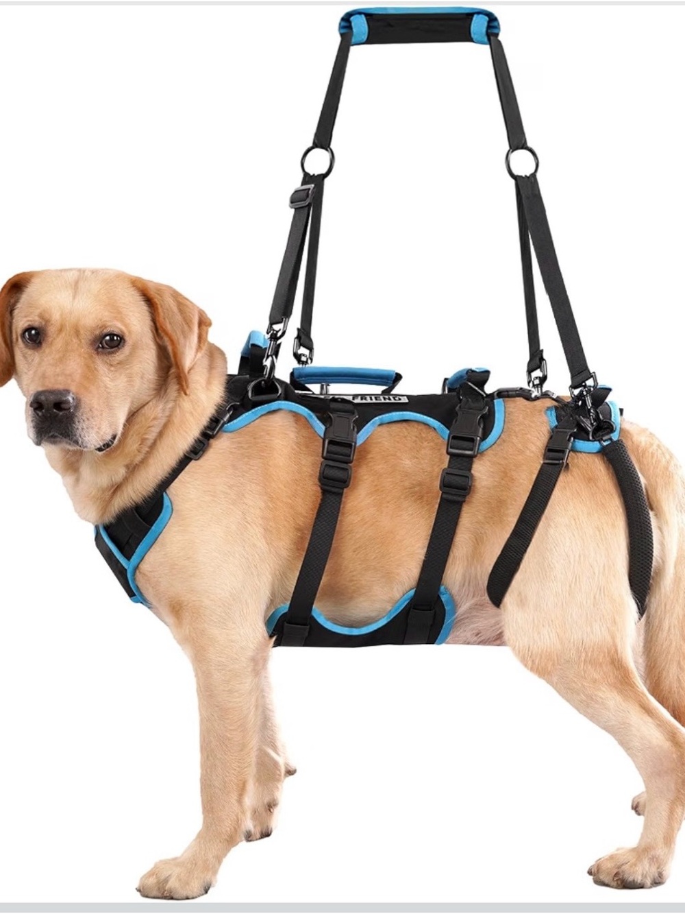 Lafoty Dog Lift Harness For Male Dogs (Medium, Black) 563/DC-3:v
